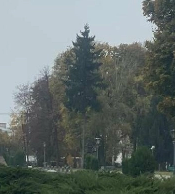 У Полтаві буде тепло, але знов із дощем і вітром