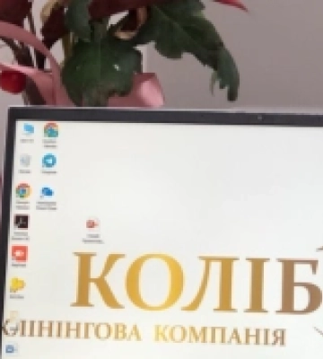 Жителька Сарн завдяки мікрогранту відкрила клінінгову компанію