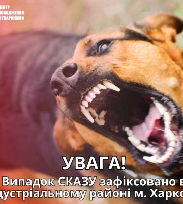 Сказ у Харкові. У частині міста ввели карантин
