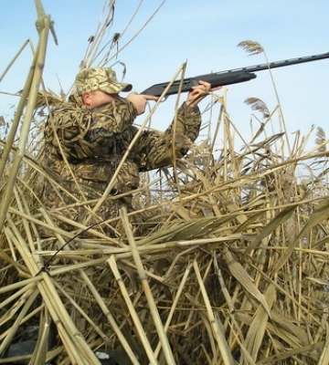 На Волині браконьєри застрелили червонокнижних зубра, оленя та лося