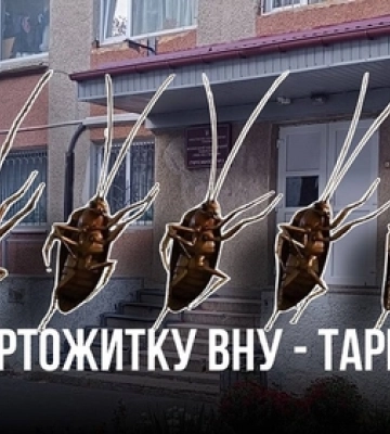 У гуртожитку волинського вишу – нашестя тарганів