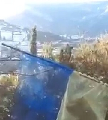 Привет оккупантам из Ялты: "СБУ уже в Крыму". ВИДЕО