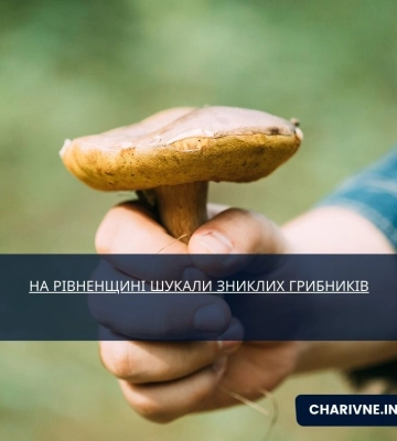 Розшукали усіх трьох заблукалих грибників