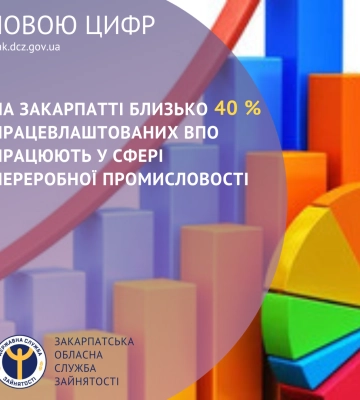 На Закарпатті близько 40 % працевлаштованих ВПО працюють у сфері переробної промисловості