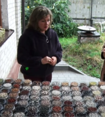 Квасоля, як зуби коня. Фермерка з Волині вирощує понад 100 сортів бобових