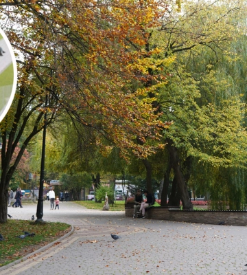 У міському парку Шевченка незабаром влаштують тренувально-вигульний майданчик для собак