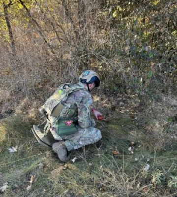 Миколаївські вибухотехніки поліції вилучили та знешкодили понад 8000 вибухонебезпечних предметів