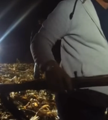 У лісі на Черкащині затримали чоловіків зі зброєю (ВІДЕО)