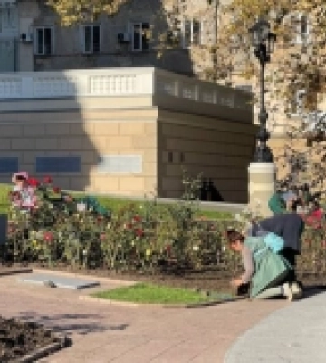 Озеленювачі в Одесі висаджують чагарники та готують квітники до зими