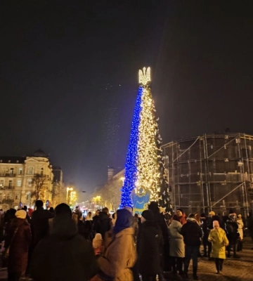 Новогоднюю елку в Киеве снова будут устанавливать за деньги меценатов