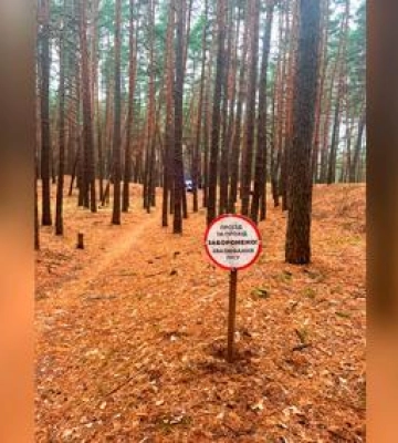 Жінку на Полтавщині придавило деревом