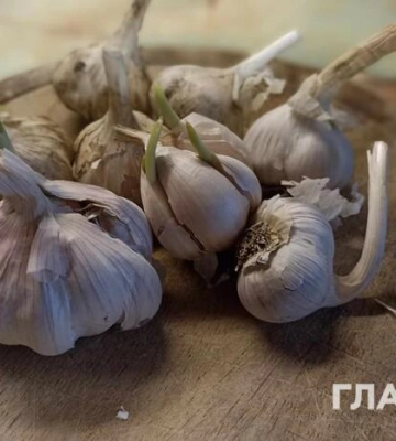 В Україні здорожчав популярний продукт