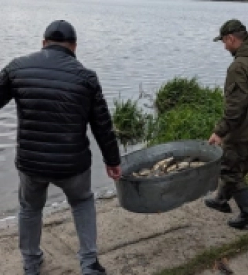 У Ковельське водосховище випустили майже 500 кілограмів риби