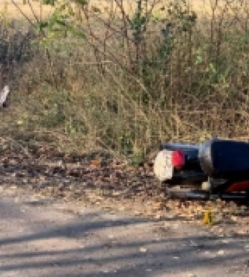 Врізався у дерево: на Дубенщині загинув 15-річний мотоцикліст