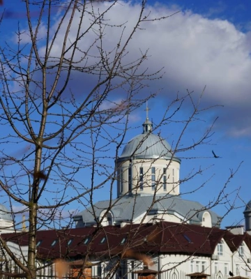 Куди піти в Івано-Франківську 10 листопада?