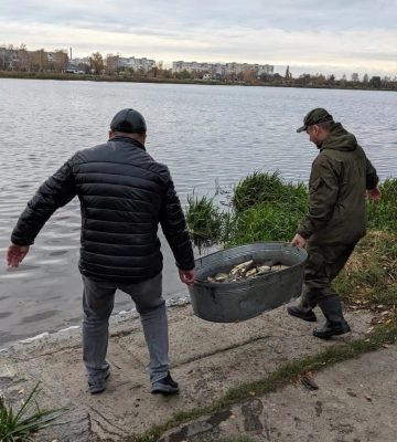 Короп та білий амур: у Ковельське водосховище випустили майже 500 кілограмів риби