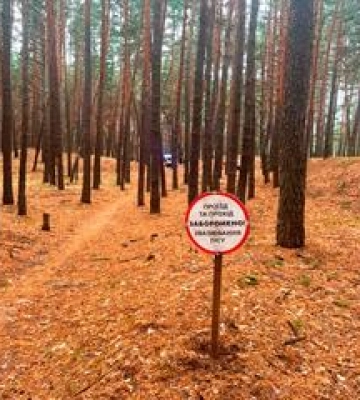 Жінку на Полтавщині придавило деревом