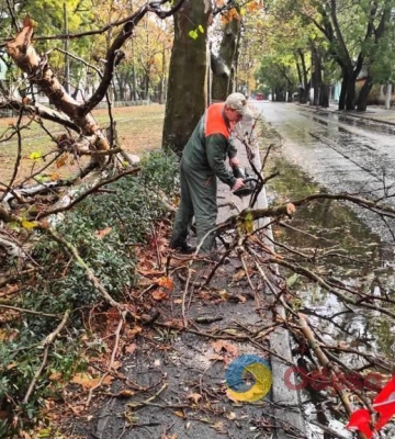 Негода повалила в Одесі дев’ять дерев та шість великих гілок