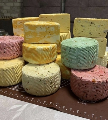 Італійські, грузинські, грецькі, кіпрські: майстриня-самоучка з Волині виготовляє понад 20 різновидів сирів 