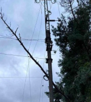 На Київщині негода залишила без світла близько 8 тисяч домівок