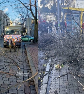 У Дніпрі стався деревопад через шквальні пориви вітру: є зміни в роботі електротранспорту