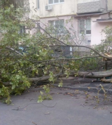 В Одесі вирує негода, мешканців просять обмежити пересування містом. ФОТОрепортаж