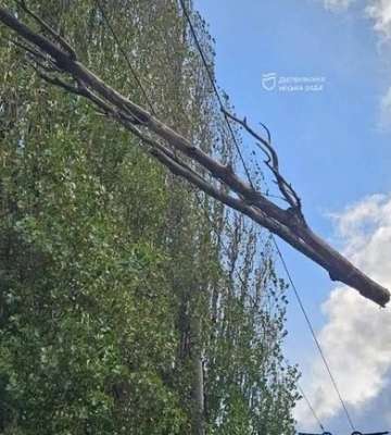 Наслідки негоди в Дніпрі: повалені дерева і затримки транспорту 