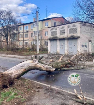 Сильный ветер повредил 27 крыш и повалил 13 деревьев в Харькове