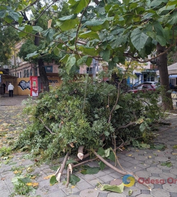 В Одесі вирує негода, мешканців просять обмежити пересування містом. ФОТОрепортаж