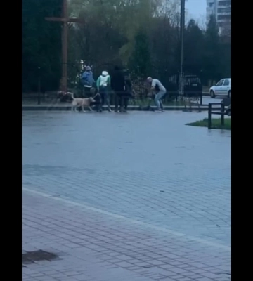 Во Львове задержали пенсионера, ударившего ножом, вероятно, военного. Конфликт возник из-за выгула собак
