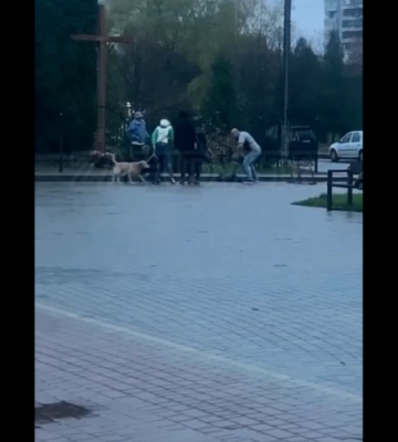 У Львові затримали пенсіонера, який вдарив ножем, ймовірно, військового. Конфлікт виник через вигул собак