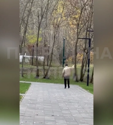 Підкидав і копав ногами: у Києві чоловік знущався з цуценя (ВІДЕО)