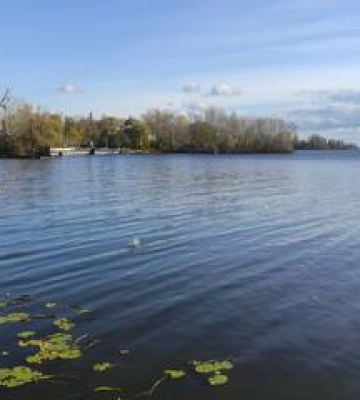 У Дніпрі чоловік скручував лежачих поліцейських (відео)