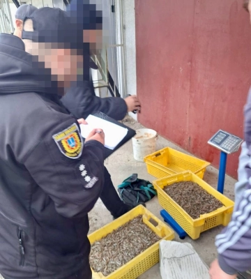 Двох жителів на Одещині викрили у наркозлочинах