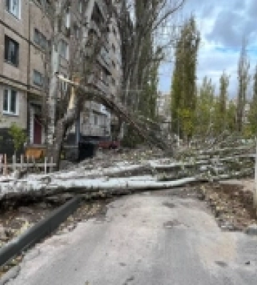 В Миколаєві ліквідовують наслідки негоди