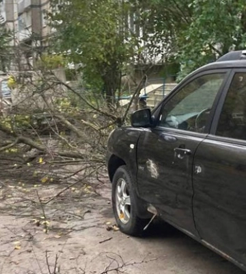 В окупованому Сімферополі буревій за добу повалив 40 дерев