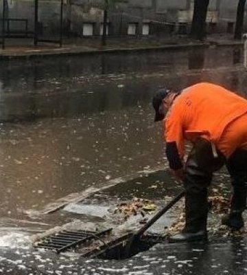 За вихідні в Одесі через вітер впало 47 дерев
