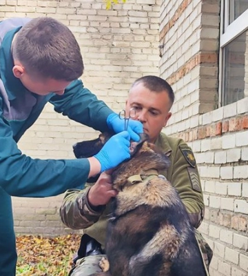 Кінолог доглядає за собакою навіть після її виходу «на пенсію»: особливості служби чотирилапих у Нацполіції Волині