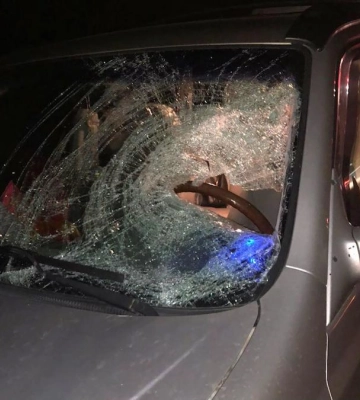 Аварія з інкасаторським авто та ДТП на пішохідному переході: як на Рівненщині минули вихідні? (ВІДЕО)