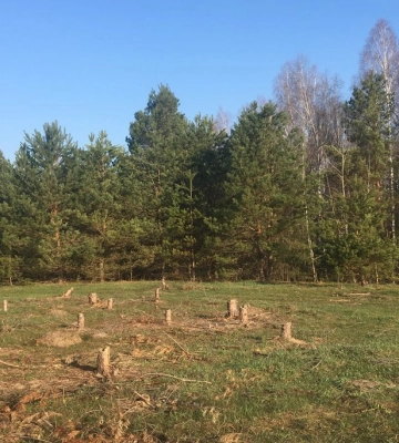 На Полтавщині чоловікові незаконно передали землю вартістю понад 19 млн грн
