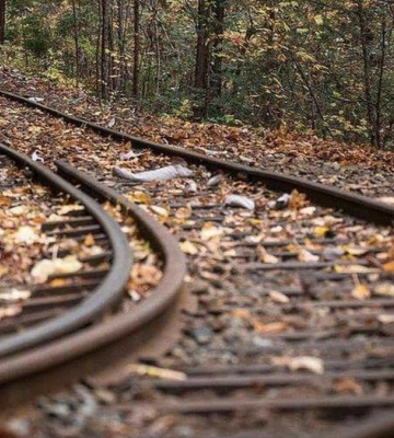 На Одещині поліція розслідує загадкову смерть 14-річної дівчини: тіло виявили на коліях
