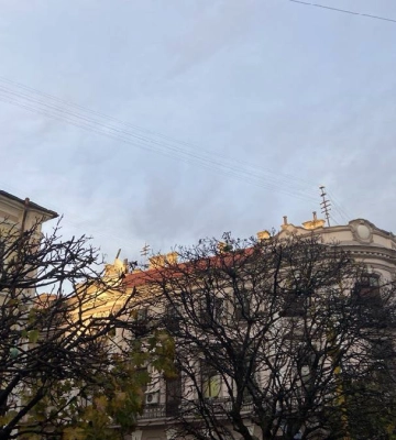 Дощі тривають: погода в Івано-Франківську 15 листопада