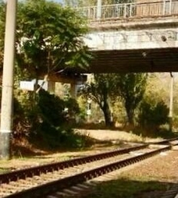 Переїжджала колії: в Одесі під колесами потяга загинула велосипедистка