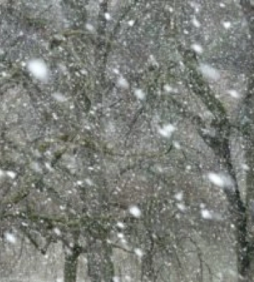Сніг і морози до -14°С: в Україну йде серйозне похолодання