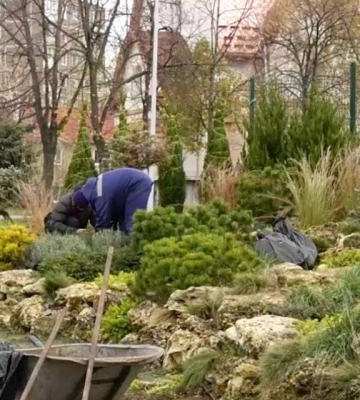 У парках Дніпра готують зелені насадження до зими та роблять пішохідну доріжку