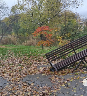 Погода у Кривому Розі 16 листопада