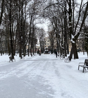 Сильний мокрий сніг і штормовий вітер. Прикарпаття очікує похолодання
