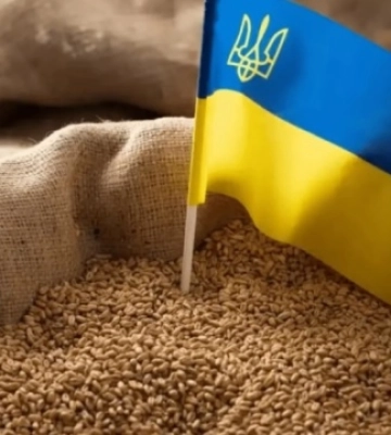На Закарпатті запрацює «сухий порт» для зерна, що йтиме на експорт у ЄС