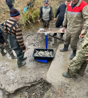 На Одещині провели зариблення озера Сасик