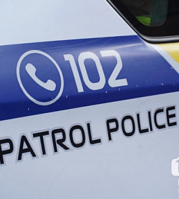На Дніпропетровщині собака приніс додому ногу людини (18+)